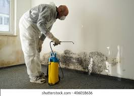 Mold Odor Removal Services in Medina, TX